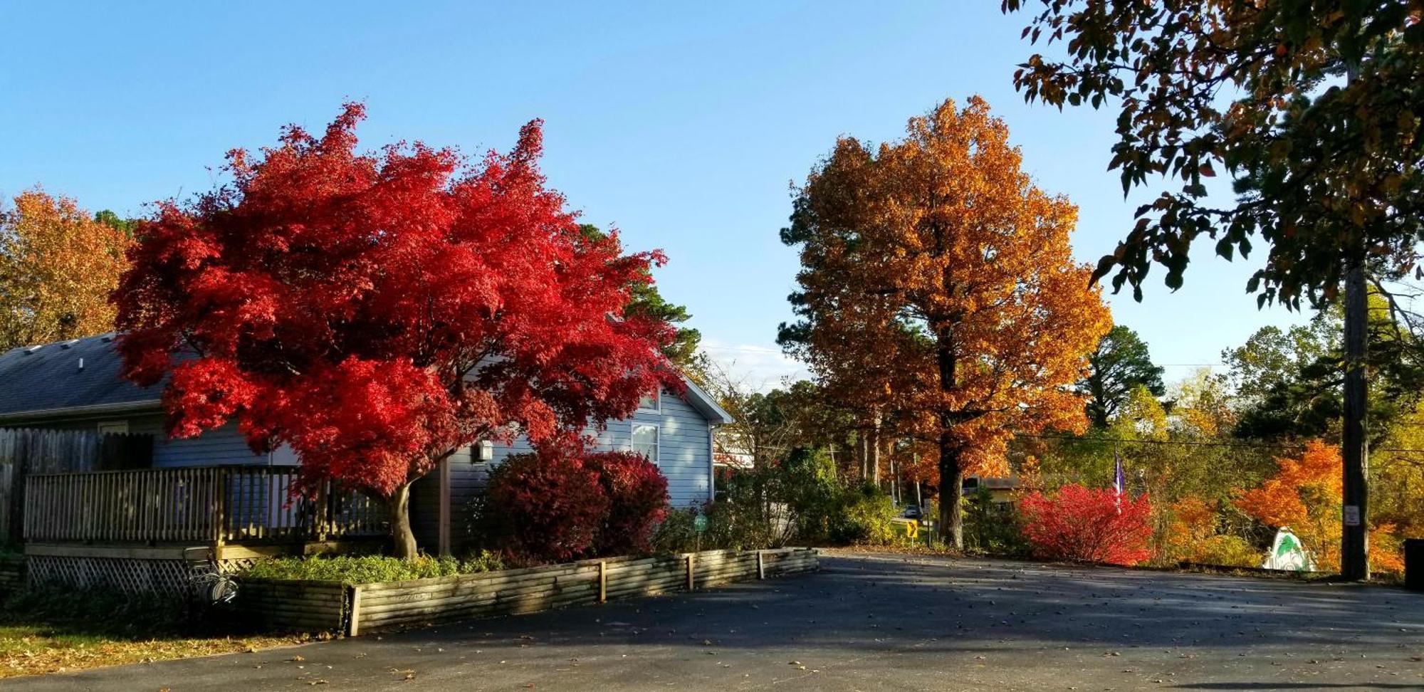 Evening Shade Inn Eureka Springs Buitenkant foto